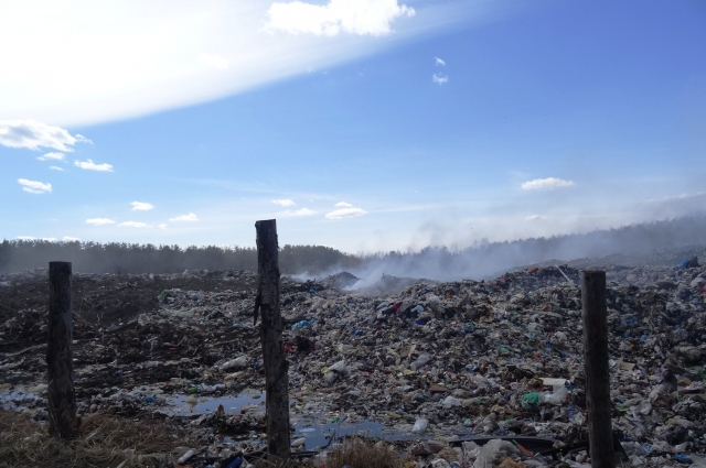 Компания "Экопром" оштрафована на 110 тысяч рублей за незаконное складирование отходов в Шахунском районе Нижегородской области