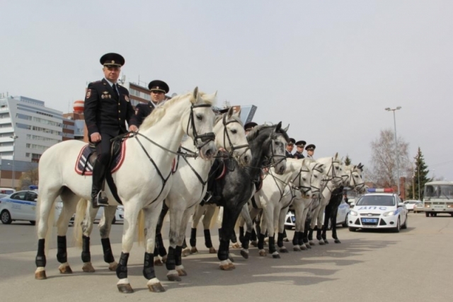 Кавалерийское снаряжение на 3 млн. рублей планируется закупить для нижегородской конной полиции