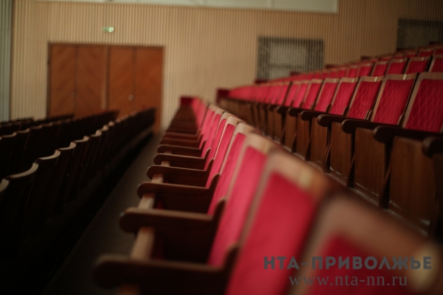 Нижегородская филармония планирует приобрести два гобоя стоимостью 925 тысяч рублей каждый 