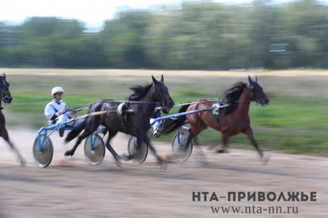 Первенство ПФО по конной выездке стартовало в Нижнем Новгороде
