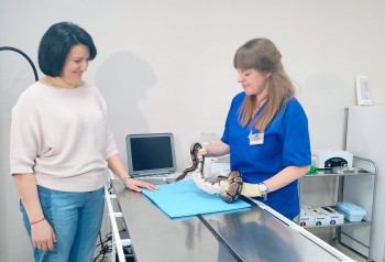 Питон и кролик стали первыми пациентами нового госветкабинета в Нижнем Новгороде