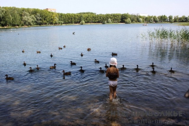 Лишь в двух озерах Нижнего Новгорода вода соответствует нормам по микробиологическим показателям