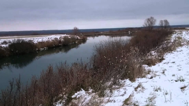 Превышение нормы содержания азота нитритного выявлено в месте замора рыбы на реке Пьяна Пильнинского района Нижегородской области