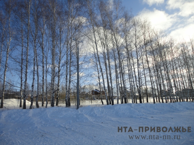 Резкое потепление ожидается в Нижегородской области с 9 февраля