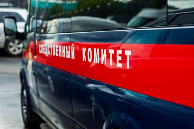 СК проводит проверку по факту избиения воспитанников детсада на Бору Нижегородской области
