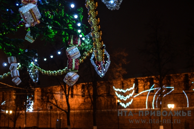 Около 660 - 1,2 тысяч рублей может заработать Дед Мороз в Нижнем Новгороде за одно новогоднее поздравление