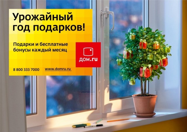 Каждый третий житель Нижнего Новгорода пользуется услугами телеком-оператора "Дом.ru"