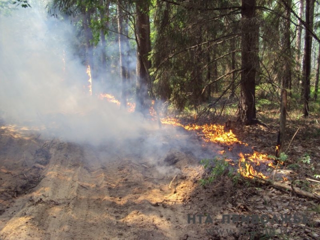 Высокая пожароопасность ожидается в Нижегородской области 26-28 мая
