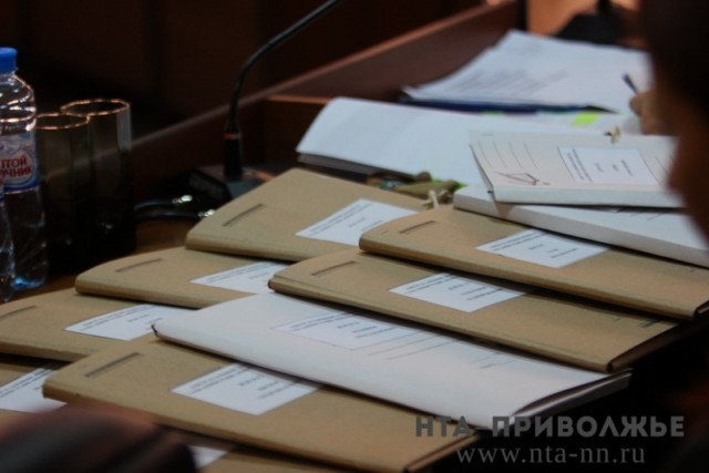 Количество подавших документы для участия в довыборах в Думу Нижнего Новгорода кандидатов выросло до семи