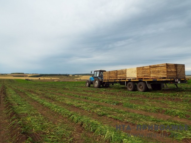 День работника сельского хозяйства и перерабатывающей промышленности отмечается в России