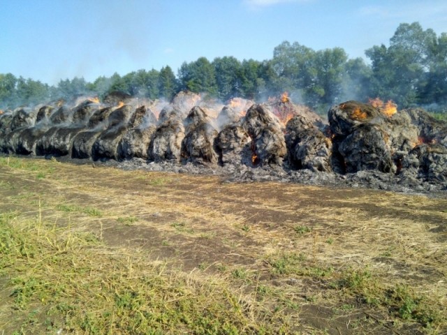 МВД расследует уголовное дело по факту поджога 130 тюков сена в Пензенской области