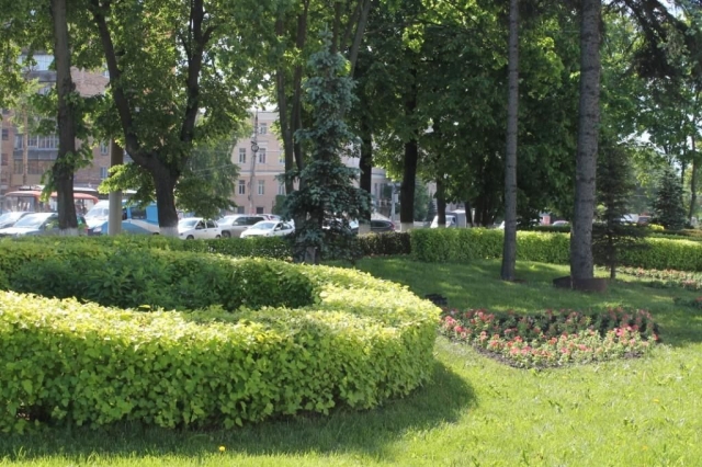 Около 90 цветников и 140 вазонов с цветущими растениями украсили центральные улицы и площади Нижнего Новгорода