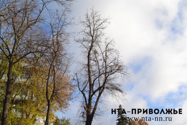 Потепление до +20 градусов ожидается в Нижегородской области в первую половину майских праздников