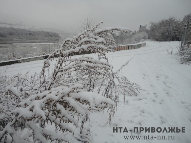 Снежные выходные ожидают Нижегородскую область 17-18 февраля