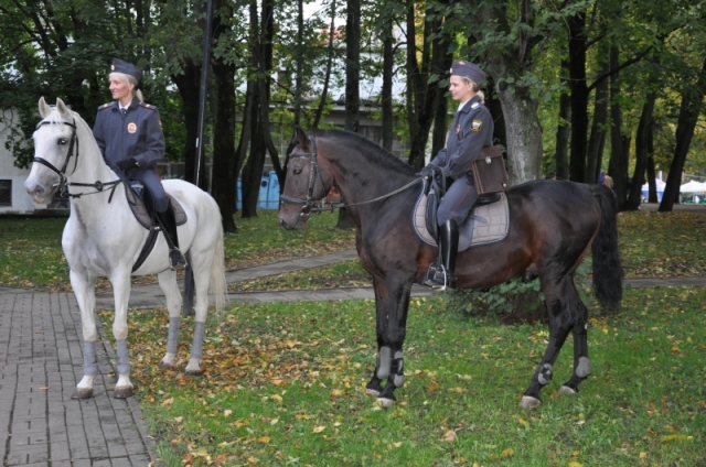 Около 2,5 млн. рублей планируется направить на содержание конной полиции Нижнего Новгорода в 2017 году