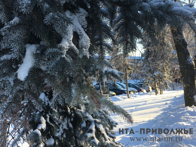Учащиеся Нижегородской области могут не посещать школу при сильных морозах