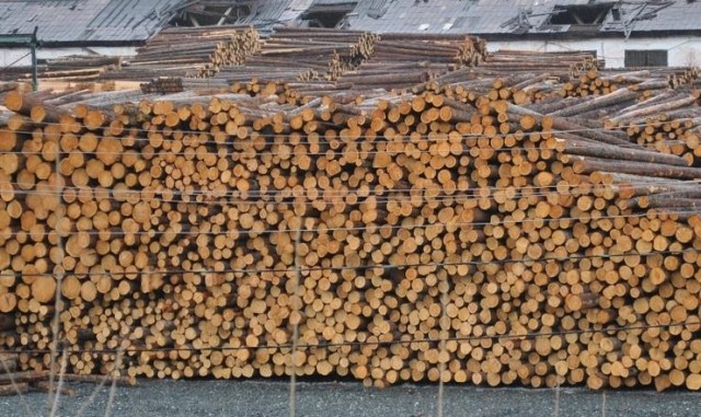 Штабель леса сгорел в г.о. Семеновский Нижегородской области