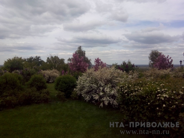 Летом 2017 года в Нижнем Новгороде будут высажены в основном многолетние растения