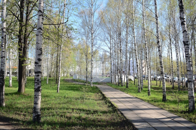 Восемь муниципалитетов Кировской области примут участие в федеральном проекте "Парки малых городов"