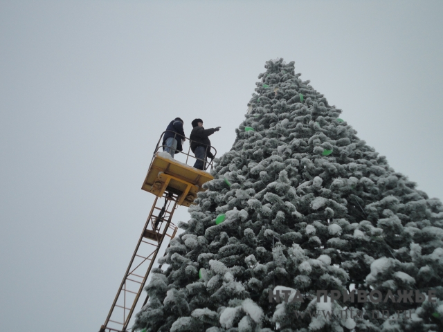 Выброшенные новогодние ёлки в Нижнем Новгороде переработают в опилки для зоопарка "Лимпопо"