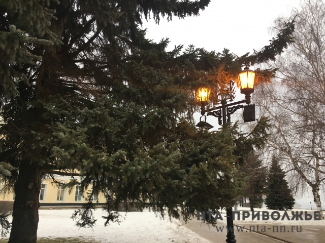 Синоптики прогнозируют тёплую и дождливую погоду в Нижегородской области в начале недели