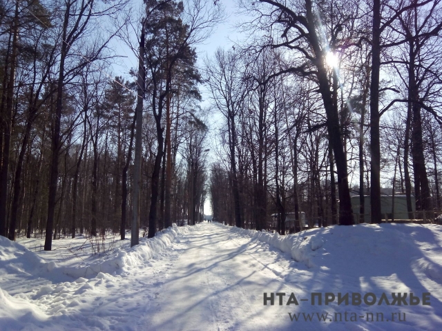 Более 30 человек пострадали от морозов в Нижегородской области в первую неделю февраля
