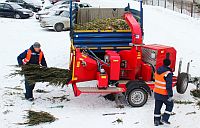 Нижегородский зоопарк "Лимпопо" перерабатывает невостребованные новогодние деревья для животных 