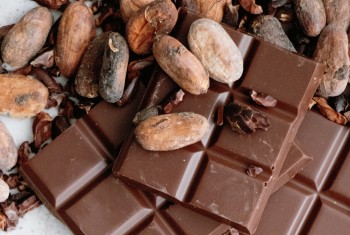 Почти 60 т. какао-бобов поступило в Ульяновск из Эстонии