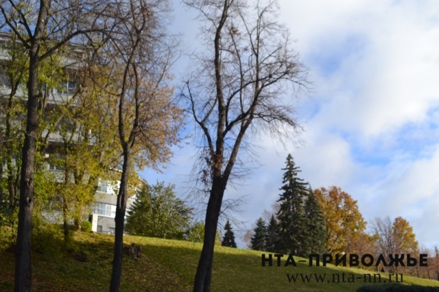 Синоптики прогнозируют теплую и ясную погоду в Нижегородской области на выходные