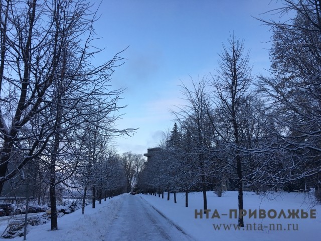Облачная погода прогнозируется в Нижегородской области в начале недели