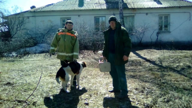 Спасатели в Ульяновской области вытащили из погреба сарая собаку, просидевшую там более двух дней