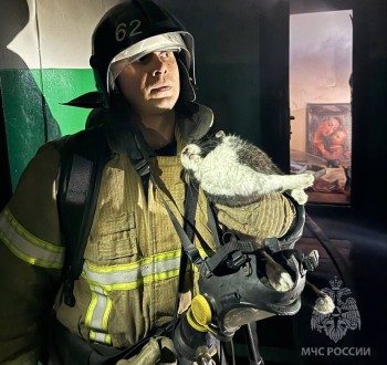 Женщину и ее кролика спасли в Дзержинске пожарные