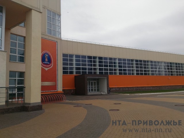 Ревизию всех спортивных сооружений планируется провести в Нижегородской области