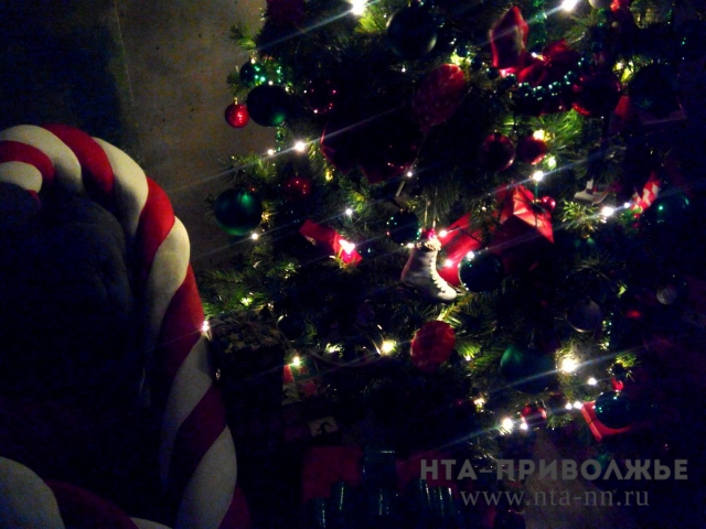Главная новогодняя ель в Нижнем Новгороде будет установлена к 10 декабря