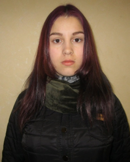 Уголовное дело возбуждено по факту безвестного исчезновения 16-летней Анастасии Носковой в Спасском районе Нижегородской области