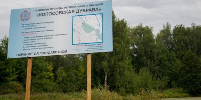 Комитет по экологии ЗС НО рекомендовал принять меры по возвращению зонирования территории "Копосовской дубравы" Нижнего Новгорода