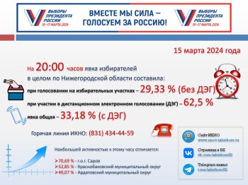 Явка избирателей в Нижегородской области 15 марта превысила 33%