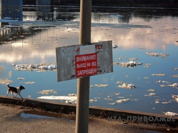 Паводок в Пензенской области ожидается во второй декаде марта