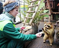 Животных нижегородского зоопарка "Лимпопо" угостили блинами в честь Масленицы