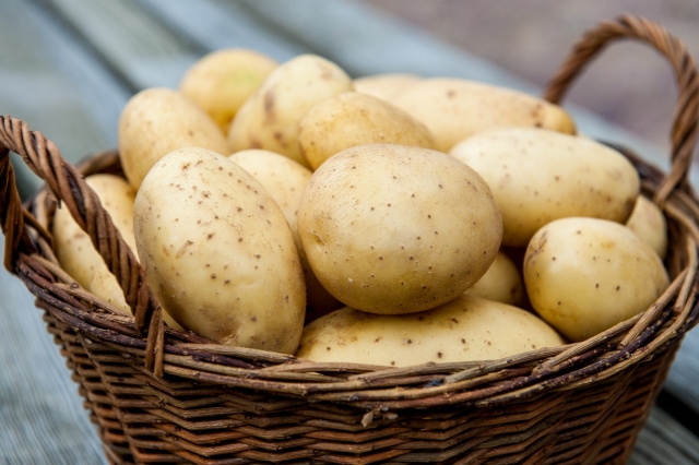 Нижегородская область вошла десятку регионов лидеров России по производству картофеля в 2016 году