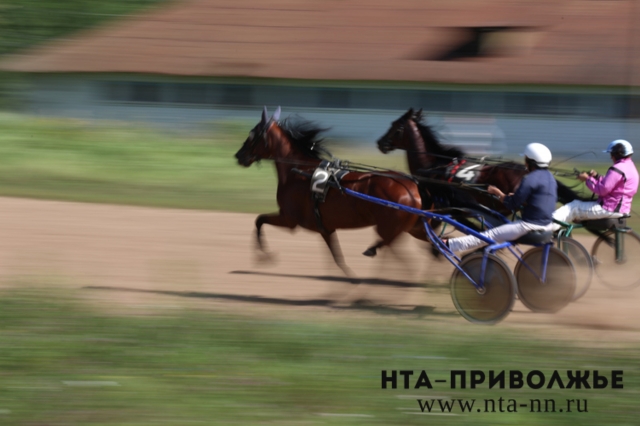 Нижегородская всадница Татьяна Костерина выиграла большой приз на международных соревнованиях по конной выездке в Германии