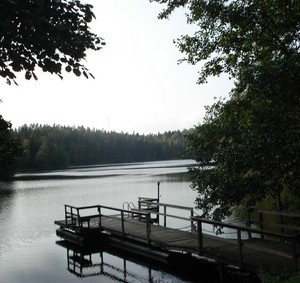 10. Лесное озеро - фото 12