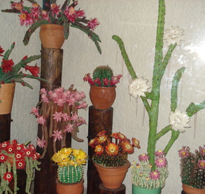 Цветы из марципана - фото 25
