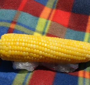 "Молодой горячий сочный" кукуруза - фото 14