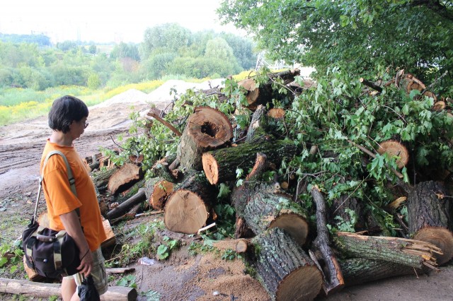 Министерство экологии Нижегородской области проверит законность спила 18 деревьев на территории памятника природы "Щелоковский хутор"