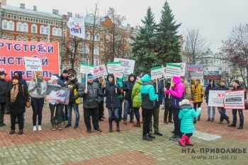 Митинг дольщиков "Квартстрой" прошёл в Нижнем Новгороде 18 ноября