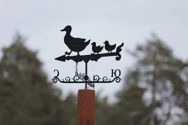 "Утиные" флюгеры установили в парке в Дзержинске