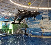 Открытие обновленного дельфинария в парке им. 1 мая в Нижнем Новгороде