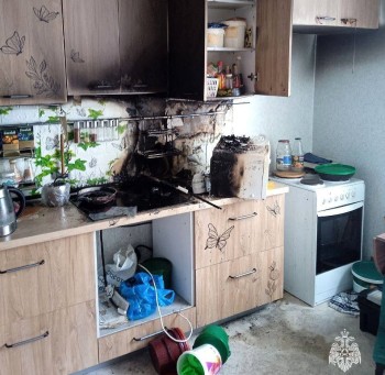 Голодные кошки чуть не спалили квартиру в Уфе