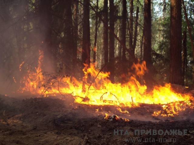Чрезвычайная (5 класса) пожароопасность ожидается в ряде районов Нижегородской области 23-27 августа 